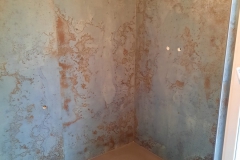 20201211_101047-scaled